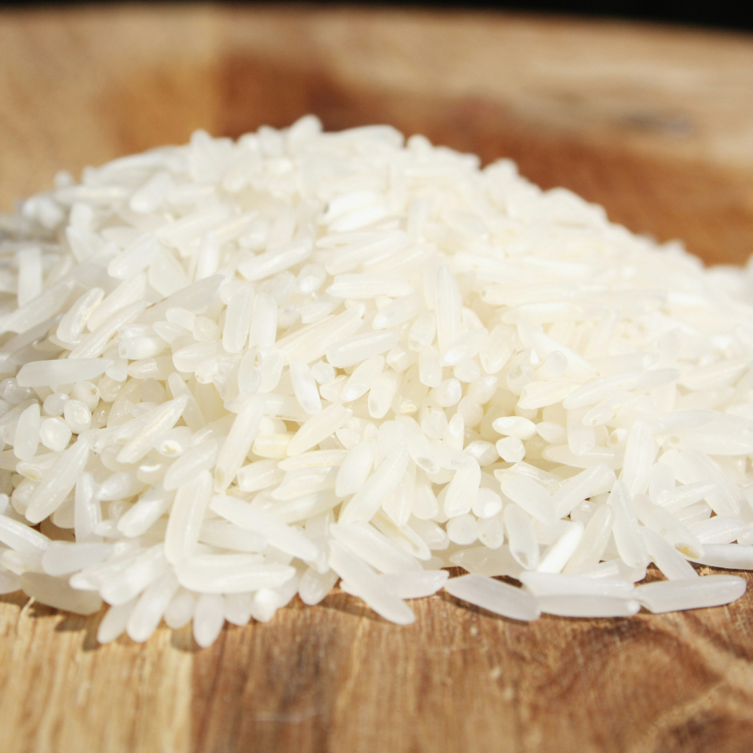 campo de arroz (5)